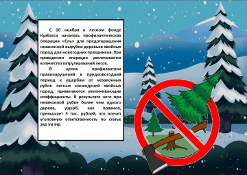 Внимание!