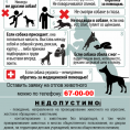 Внимание!
